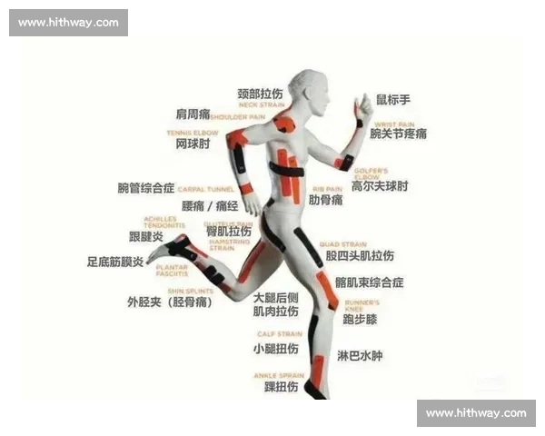 体育科学视角下运动表现优化与人体机能提升研究 体育科学视角下运动表现优化与人体机能提升研究